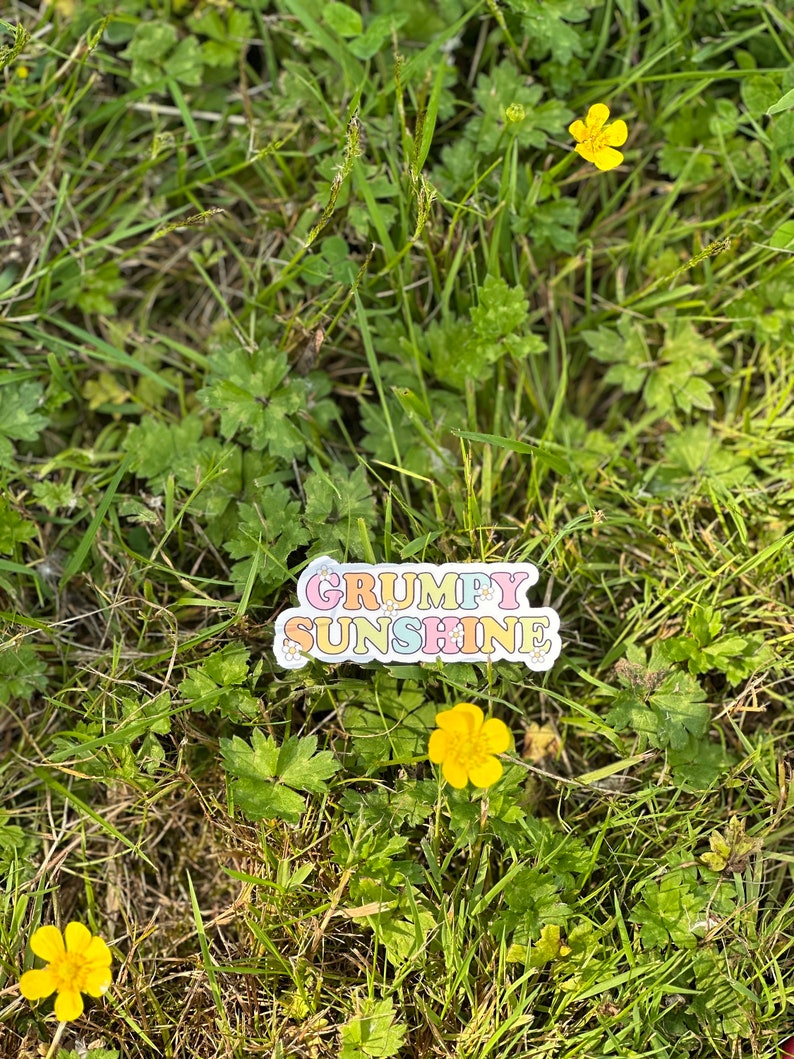 May include: A colorful sticker with the text "GRUMPY SUNSHINE" in a retro font. The sticker is placed on a bed of green grass with yellow flowers.