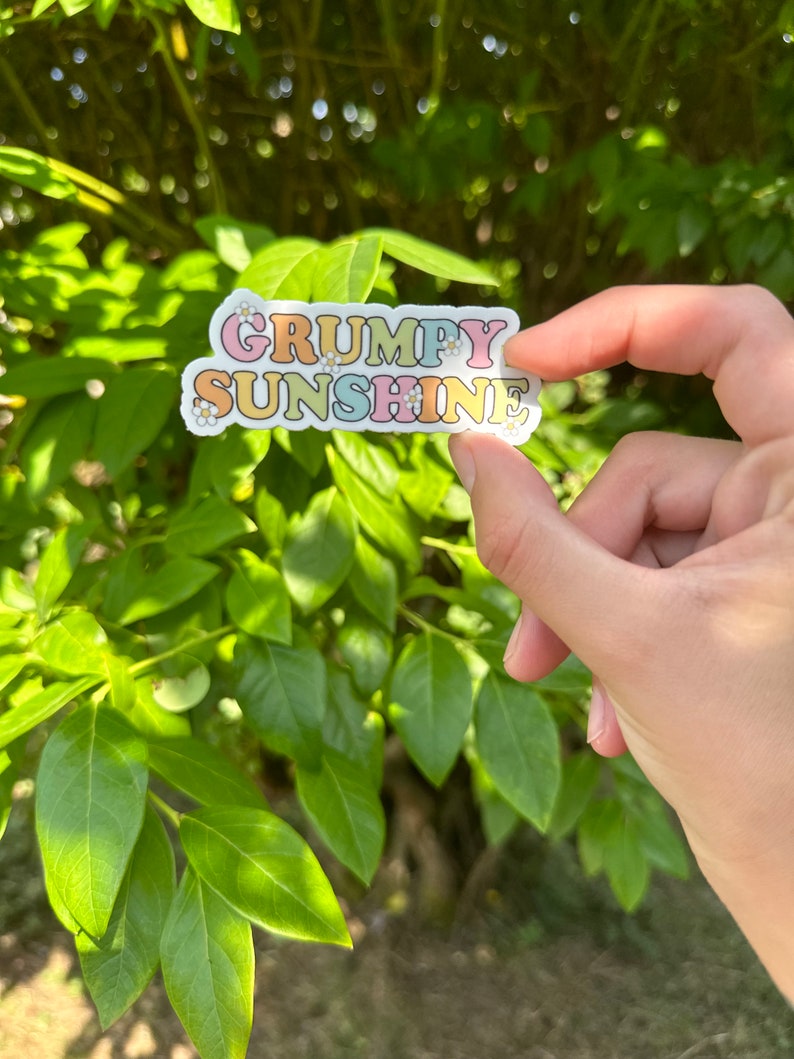 May include: A sticker with the text "GRUMPY SUNSHINE" in rainbow colors with white daisy accents.