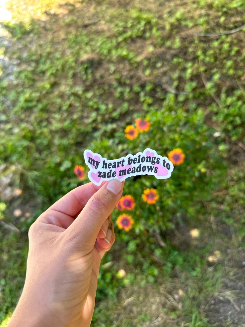 以下が含まれることがあります： ピンクのハート型のステッカーに、黒い文字で「my heart belongs to zane meadows」と書かれています。