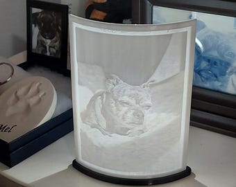 Lithophane MADE by ORDER with LED Battery White Light for Your Pet Picture or any photo