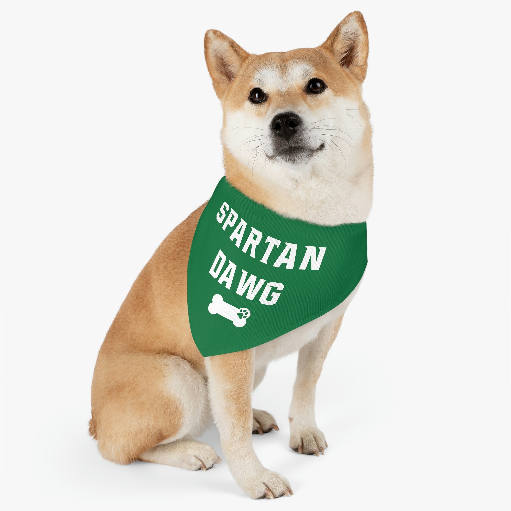 This Is Sparta' Bandana