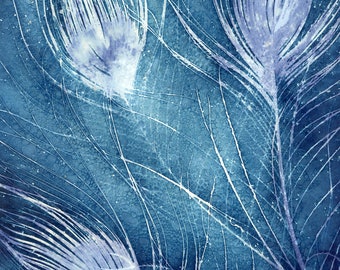 Peacock feathers; Wet Cyanotype Original