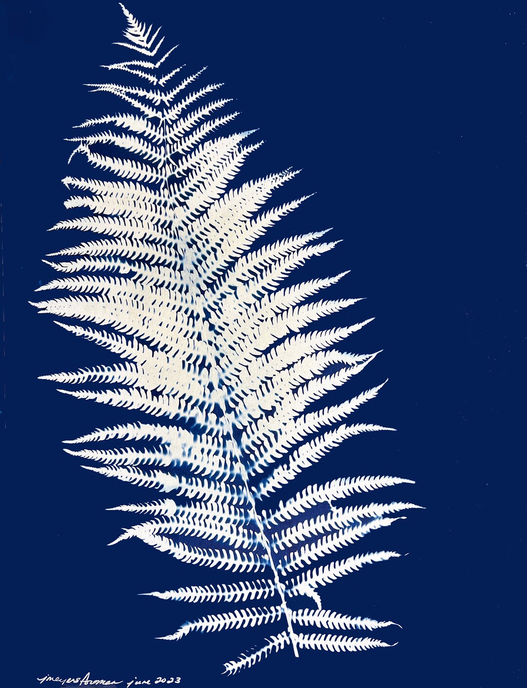 Fern Botanical Cyanotype Digital Instant Download - Etsy