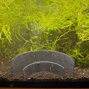 Half Circle aquarium wall substrate separator for fish tank 3d print