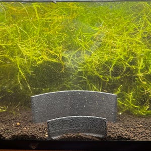 Arc aquarium wall substrate separator for fish tank 3d print