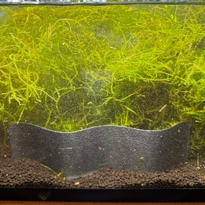 Wavy aquarium wall substrate separator for fish tank 3d print