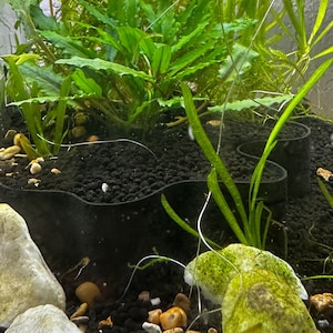 Aquarium and terrarium wall for aquascape decor
