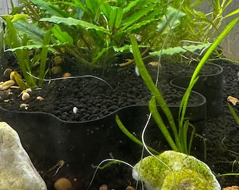 Parede de aquário e terrário para decoração de paisagismo aquático