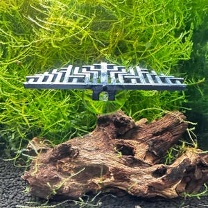 moss ledge aquarium java moss balcony for shrimp tank fish tank decor