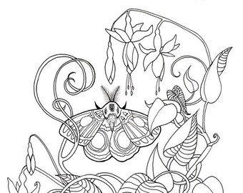 Nature Colouring Page - Moths fine art coloring page