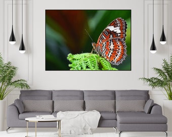 Beautiful Butterfly Canvas Wall Art, Canvas Print, Butterfly Print, Abstract Art, Home Decor, Wall Art, Living Room Decor, Large Canvas