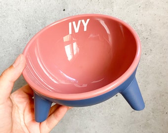 Personalized Cat Bowl in Pink and Blue