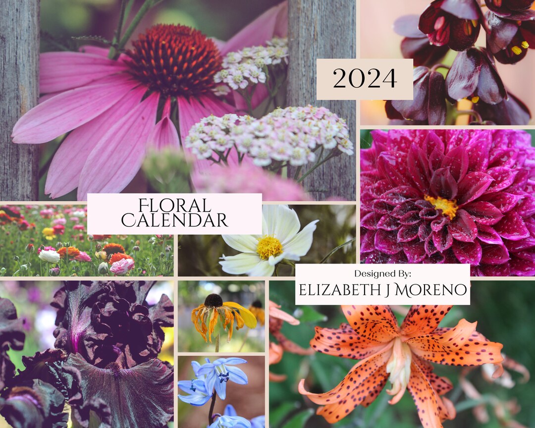 2024 Floral 2024 Botanical Wall Calendar, Flower Photography, 12 Month