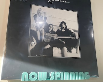 Jetzt dreht sich der Vinylständer zur Wandmontage (Expressversand)
