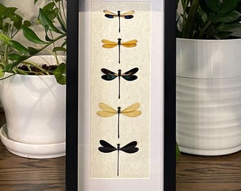 Framed Damselfly Specimen Art: 5 Unique Species, Information Card