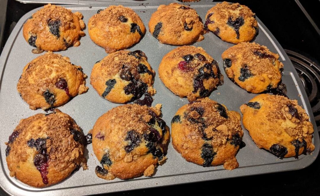 Blueberry Muffins Etsy