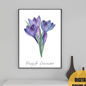 Purple Crocuses Botanical Wall Art Print