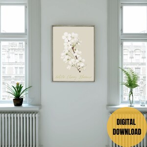 White Cherry Blossom Branch Botanical Wall Art Print