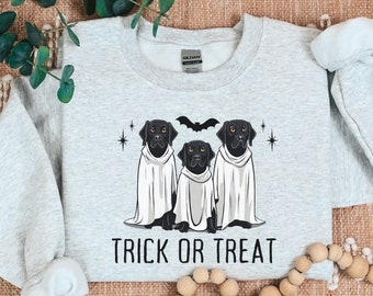 Black Labrador Halloween Sweater, Halloween Dog Shirt, Labrador Retriever, Labrador Sweater, Dog Halloween Sweatshirt, Halloween Crewneck