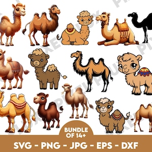 May include: A set of 14 digital clipart images of camels in various poses and colors. The camels are cartoon-style illustrations with a variety of expressions. The set includes a camel with a saddle, a camel with a rider, and a camel with a baby camel. The images are perfect for use in scrapbooking, card making, and other craft projects.