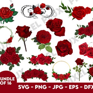 ROSE SVG Bundle/ Rose Clipart Bundle/ Rose Svg cut files for Cricut/ Flowers Svg/Red Rose Svg/ Rose Png/ Rose Bouquet Svg/ Rose Monogram Svg