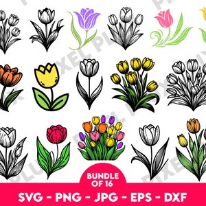 Tulip svg, Spring Flower svg, Spring Floral svg, Flower bouquet svg, Tulip Bouquet svg, Flowers svg, Colourful Tulip svg, Tulip vector