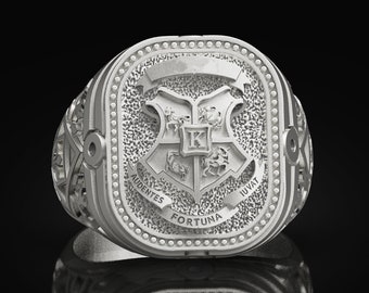 Family Crest & Coat Of Arms Signet Ring, Custom Silver Rings For Men, Heraldic Wappen Ring 925k Unique Pinky Ring Wax Seal Ring Mens Jewelry