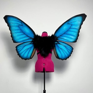 Mechanical or Non-mechanical Blue Morpho Butterfly Wings