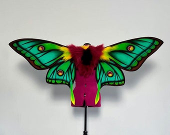 Mechanical or Non-mechanical Moth wings