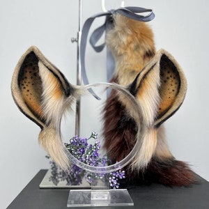 Realistic Hyena ears and tail