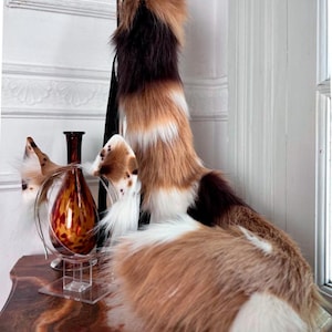 Cappuccino Calico Cat Ears and Tail