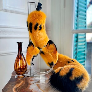 Cat Garfield-oren en -staart