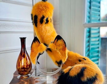 Cat Garfield ears and tail