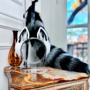 Realistic Raccoon ears and tail