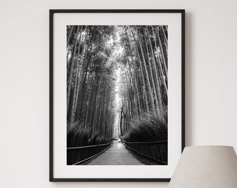 May include: Black and white photograph of a path through a bamboo forest. The path is lined with tall bamboo stalks and leads to a clearing in the distance. The photograph is framed in a black frame and is hanging on a white wall.