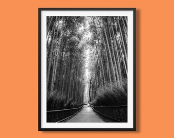 Japanese Bamboo Grove Poster, Kyoto Printable Art, Black and White Wall Art, Original Photo, Nature Print, Old Japanese Photo Print