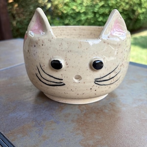 May include: A ceramic cat-shaped bowl with a speckled beige finish. The bowl features black eyes, whiskers, and pink-lined ears. The bowl is sitting on a brown surface.