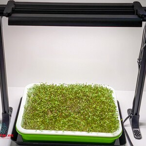 May include: A black grow light stand with a horizontal LED bar positioned over a square green and white tray filled with dense green sprouts. The stand features vertical supports and a power cord. The logo BUILD XYZ 3D PRINTING is visible.