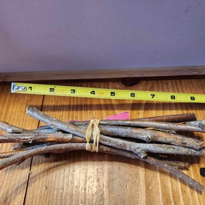 Willow Sticks