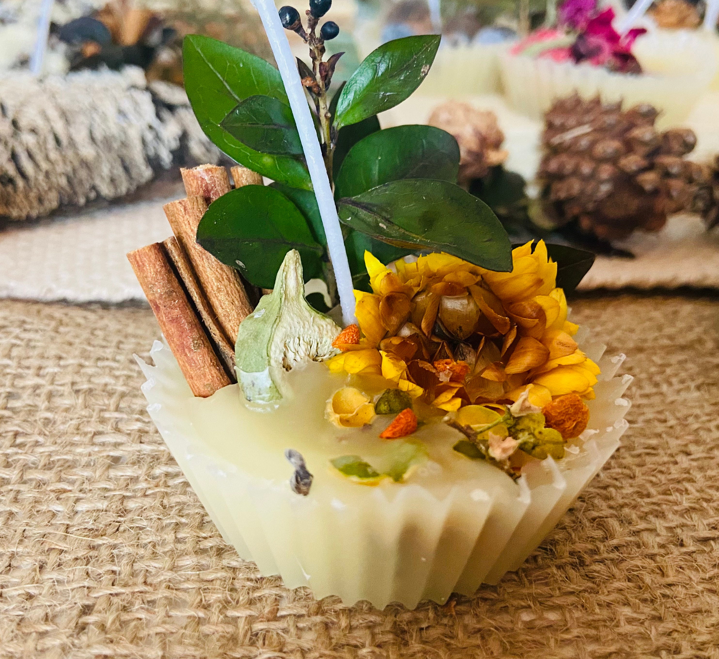 4 Pack Fire Starters, All Natural Homemade Firestarters, Forest Scented