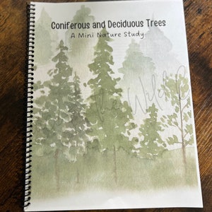 DIGITAL DOWNLOAD Mini Nature Study | Coniferous and Deciduous Trees | 1000 hours outside activity | Homeschool Activity | Elementary lesson