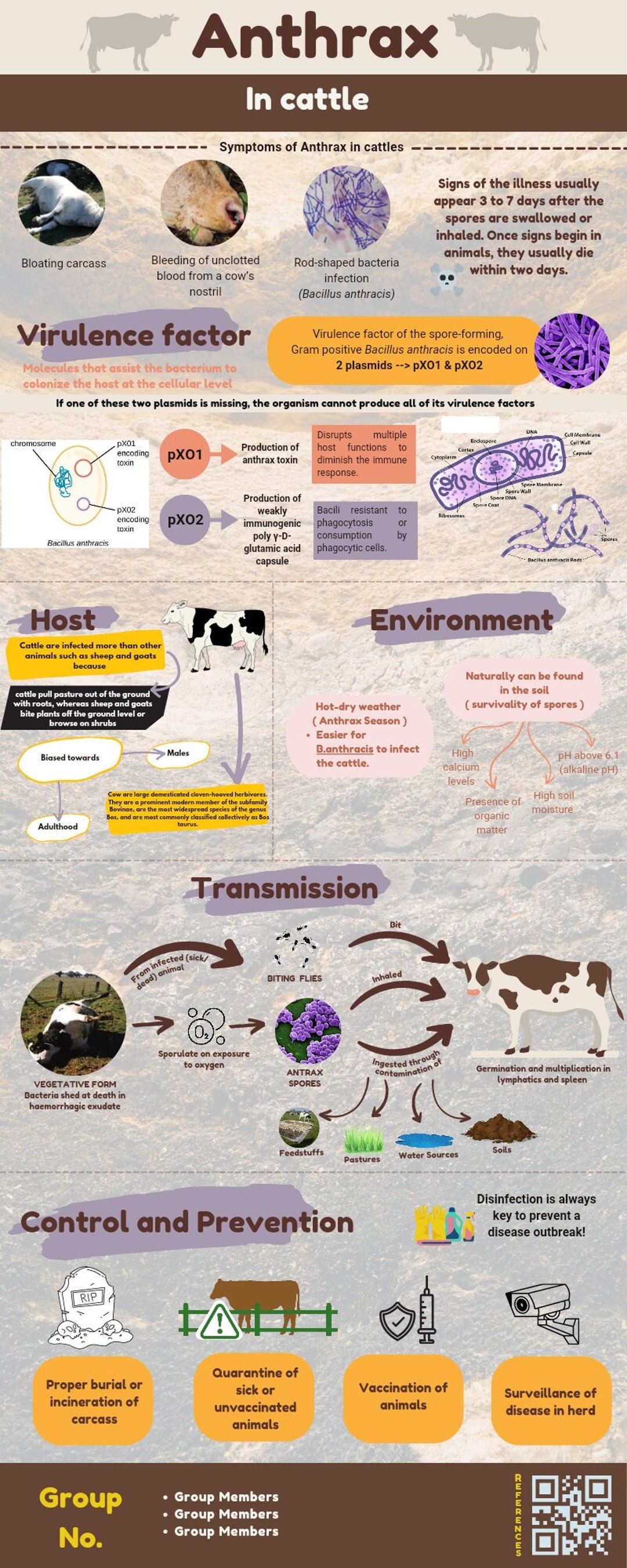 Infographic Templates Of Anthrax Disease In Cattle - Etsy