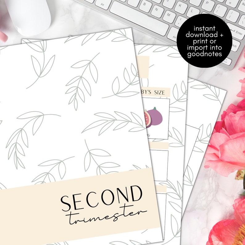Op de afbeelding: Printbare zwangerschaps tracker met een licht beige achtergrond en een bladmotief. De tekst "SECOND Trimester" staat in zwart. De tracker is ontworpen om te worden gebruikt met Goodnotes.