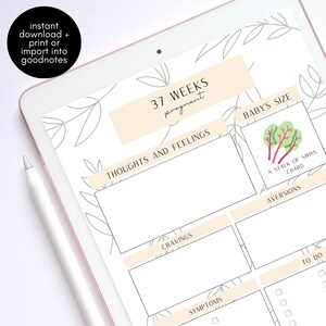 Op de afbeelding: Een printbare zwangerschapstracker voor week 37, met secties voor gedachten en gevoelens, verlangens, symptomen, de grootte van de baby, afkeer en een to-dolijst.