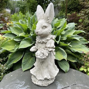 May include: A light gray stone garden statue of an upright rabbit wearing a ruffled collar and dress. The rabbit is holding a small basket filled with flowers in its front paws. The figure has long, pointed ears and a textured, weathered finish.