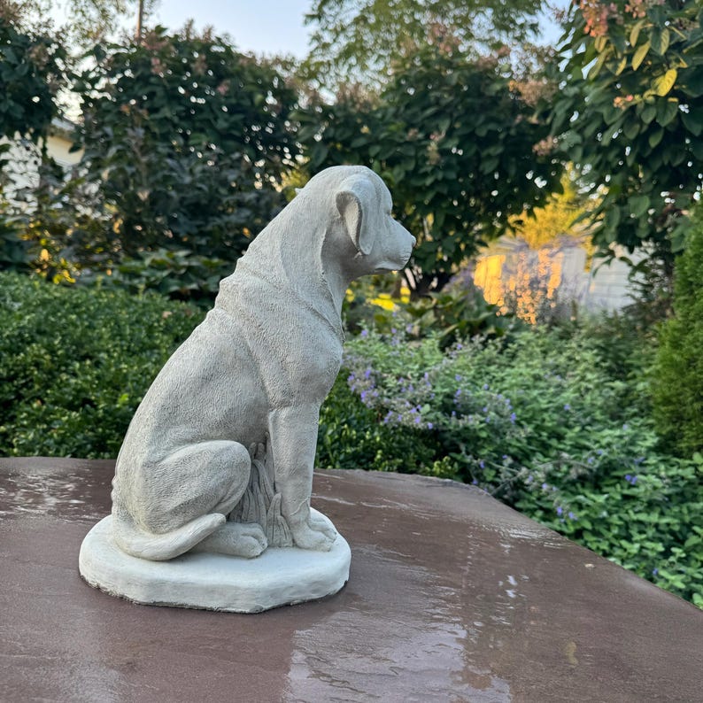 Large Concrete Labrador Garden Statue 14.5