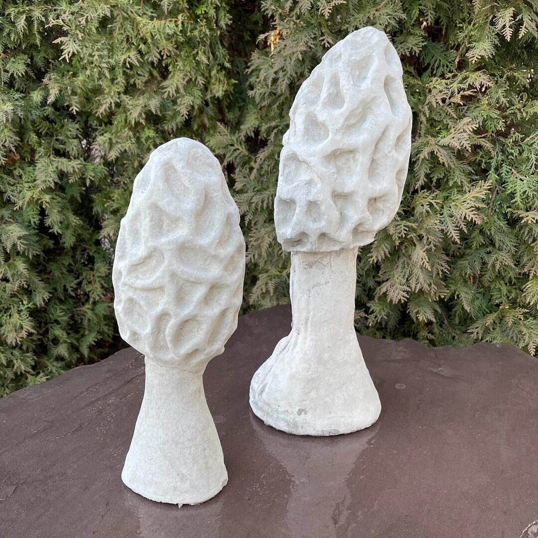 Concrete Morel Mushroom Garden Statue Decor 18 Cement Etsy