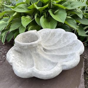 May include: A light gray, concrete garden planter with a seashell design. The planter has a round, open-top container on one side and a scalloped, shell-shaped basin on the other. The planter is sitting on a brown surface, with green foliage in the background.