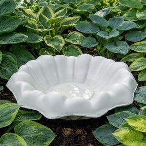 May include: A white, scalloped, bowl-shaped bird bath with a smooth, matte finish. The basin features a wide, fluted rim with deep, rounded indentations radiating from the center, creating a flower-like silhouette resting low to the ground.