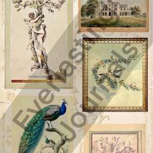 May include: A vintage scrapbook page with four framed illustrations. The top left image shows two figures standing by a tree with flowers. The top right image shows a large house with a lawn and trees. The bottom left image shows a peacock with its tail feathers spread. The bottom right image shows three figures with wings.